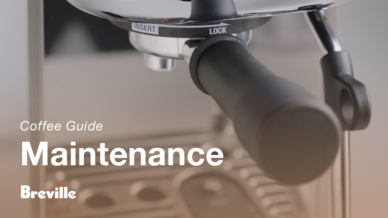 BES500_Bambino_Film12_Group head_Brevill.png